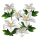 token_t7420