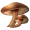 Shiitake Mushrooms