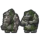 two_stone_giants