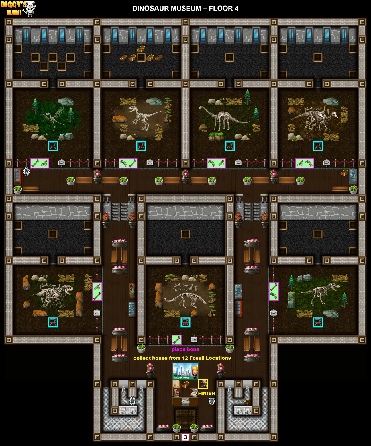 Dinosaur Museum Map 3